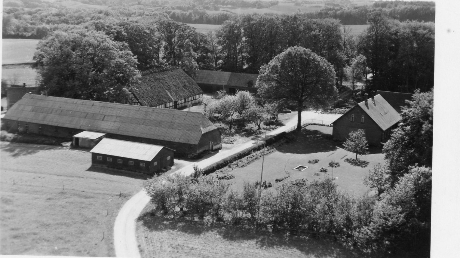 Højgård ca.1952