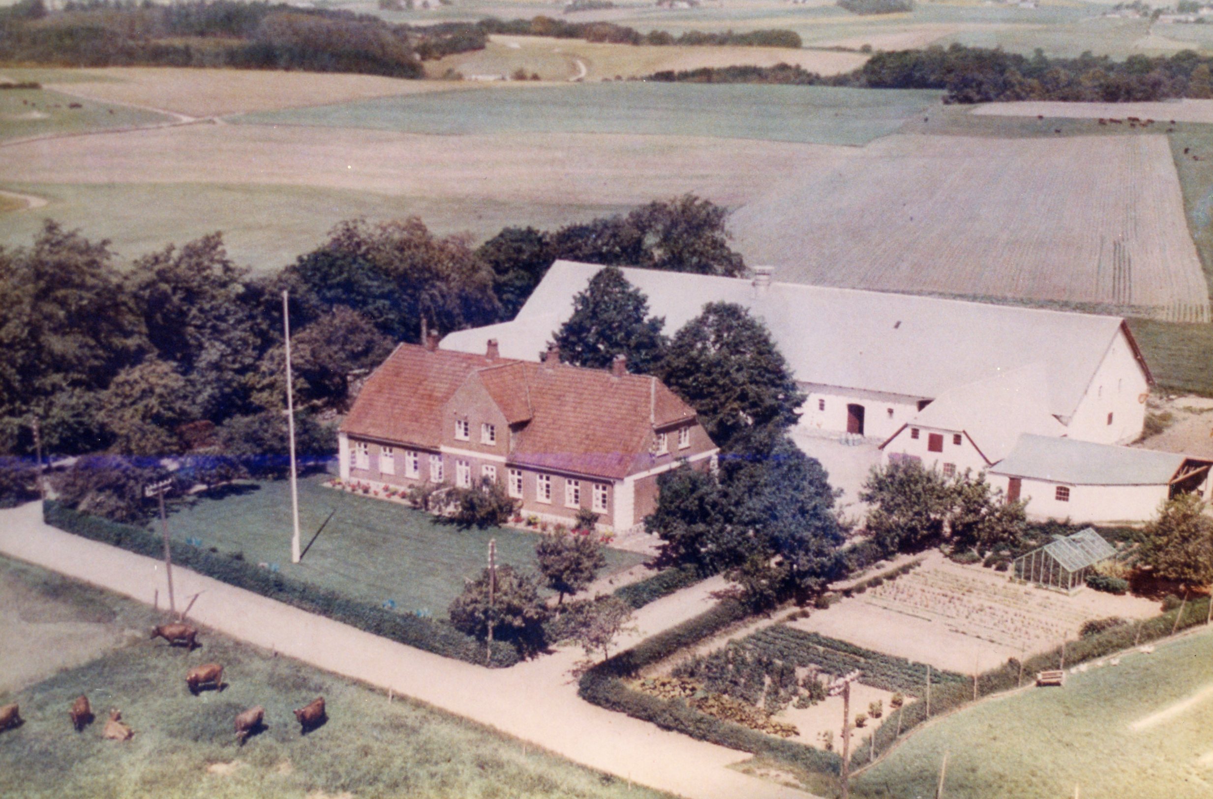 B629