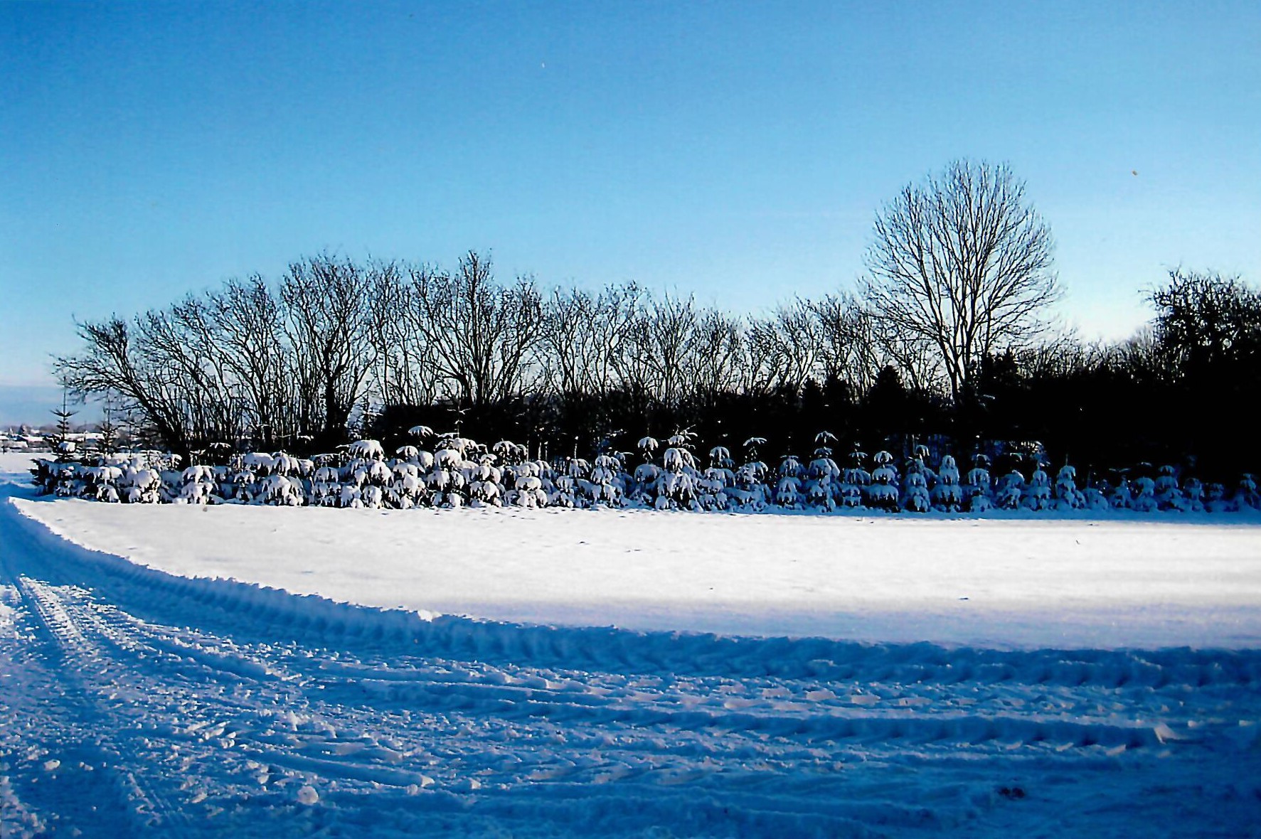 LisMadsen sneGrejs 04